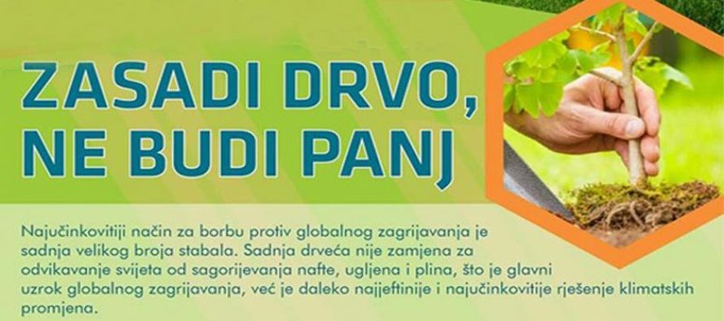 „Zasadi drvo, ne budi panj“