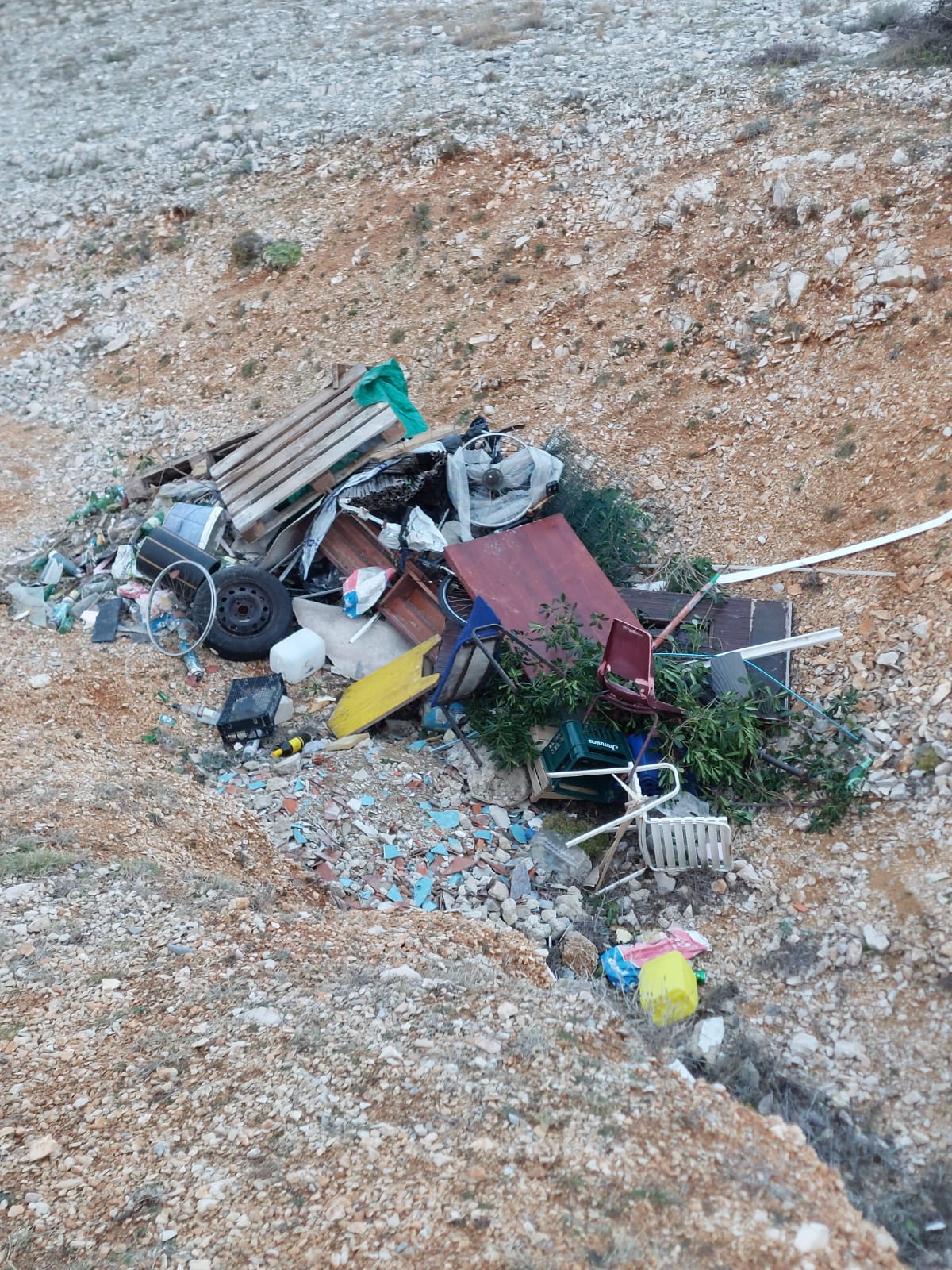 WhatsApp Image 2026 04 09 at 17.09.06