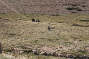 HikingDanGrada-54