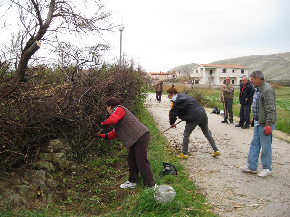 ZELENA ČISTKA Pag 2015. 