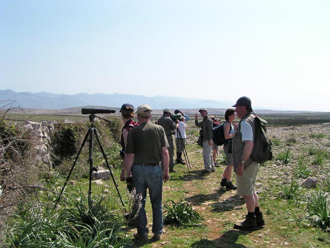 EuroBirdwatch 1. i 2. listopada na Velom Blatu