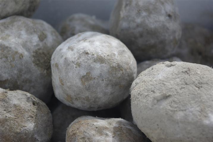 II. Akcija čišćenja mulja, glinenim loptama fermentiranih uz pomoć efektivnih mikroorganizama